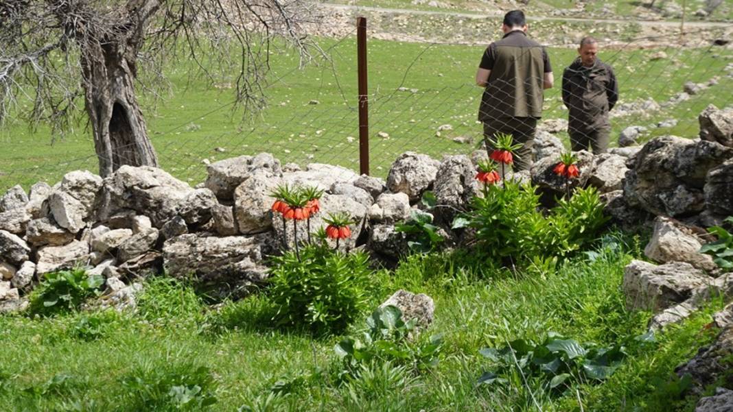 Bu insanlar neye bakıyor? Gece-gündüz nöbet tutuyorlar, ilk kez görenler şaştı kaldı! 14